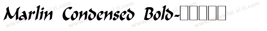 Marlin Condensed Bold字体转换